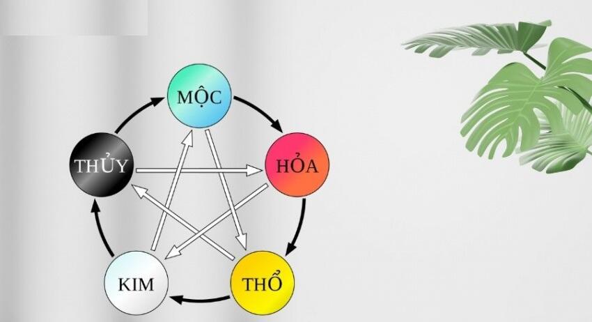 Làm Sao Để Biết Mình Mệnh Gì? Bảng Tra Cứu Cung Mệnh Cho Các Tuổi Từ 1930-2030